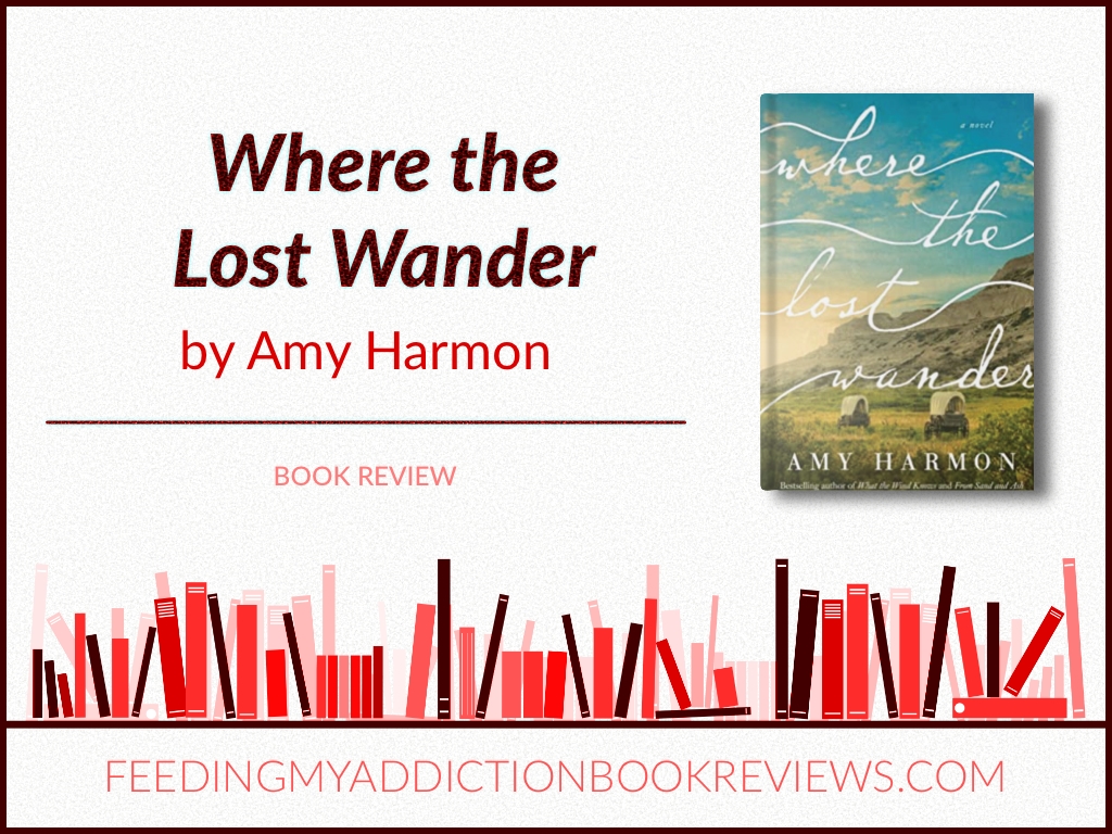 where the lost wander book